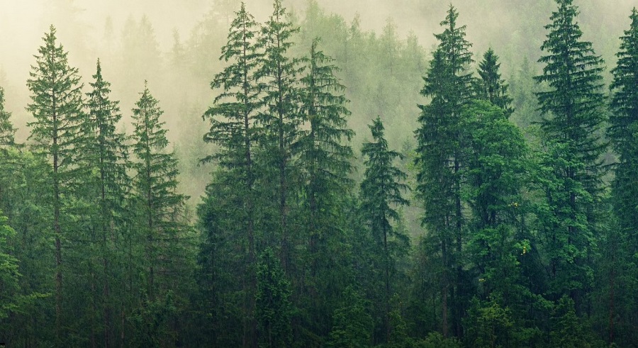 Jak zadbać o czyste powietrze? Gmina zaprasza na warsztaty